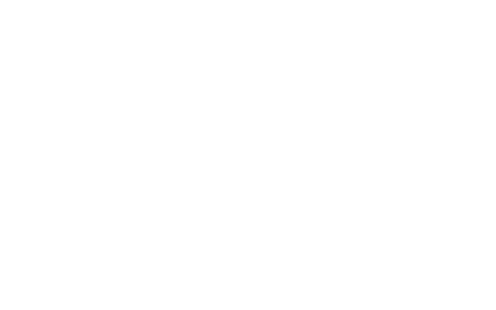 Official Selection Frameline49, San Francisco International LGBTQ+ Film Festival